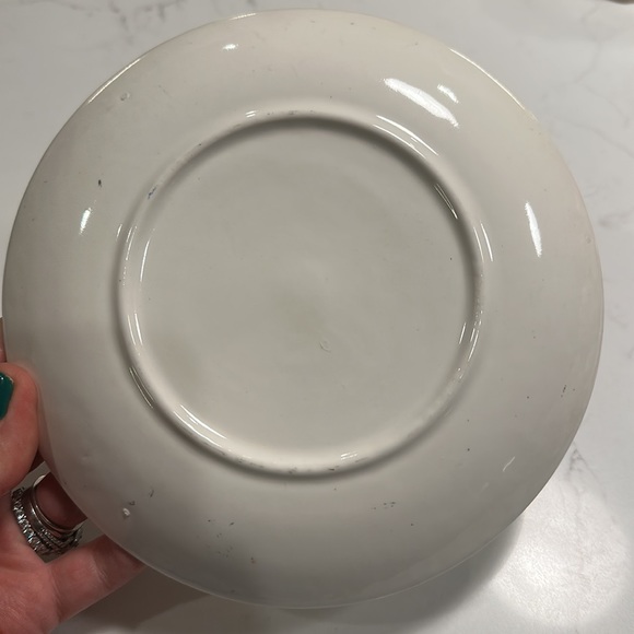 Vintage Illinois Souvenir Plate - Picture 2 of 2